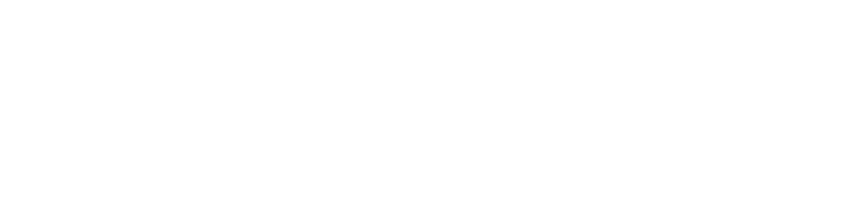 NSB logo horizontal white